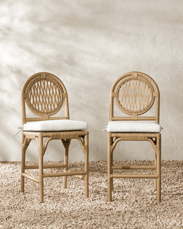 Marisol Indoor/Outdoor Counter Stool (Set of 2)