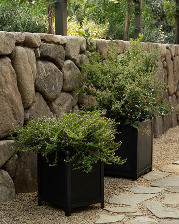 Clariance Planter
