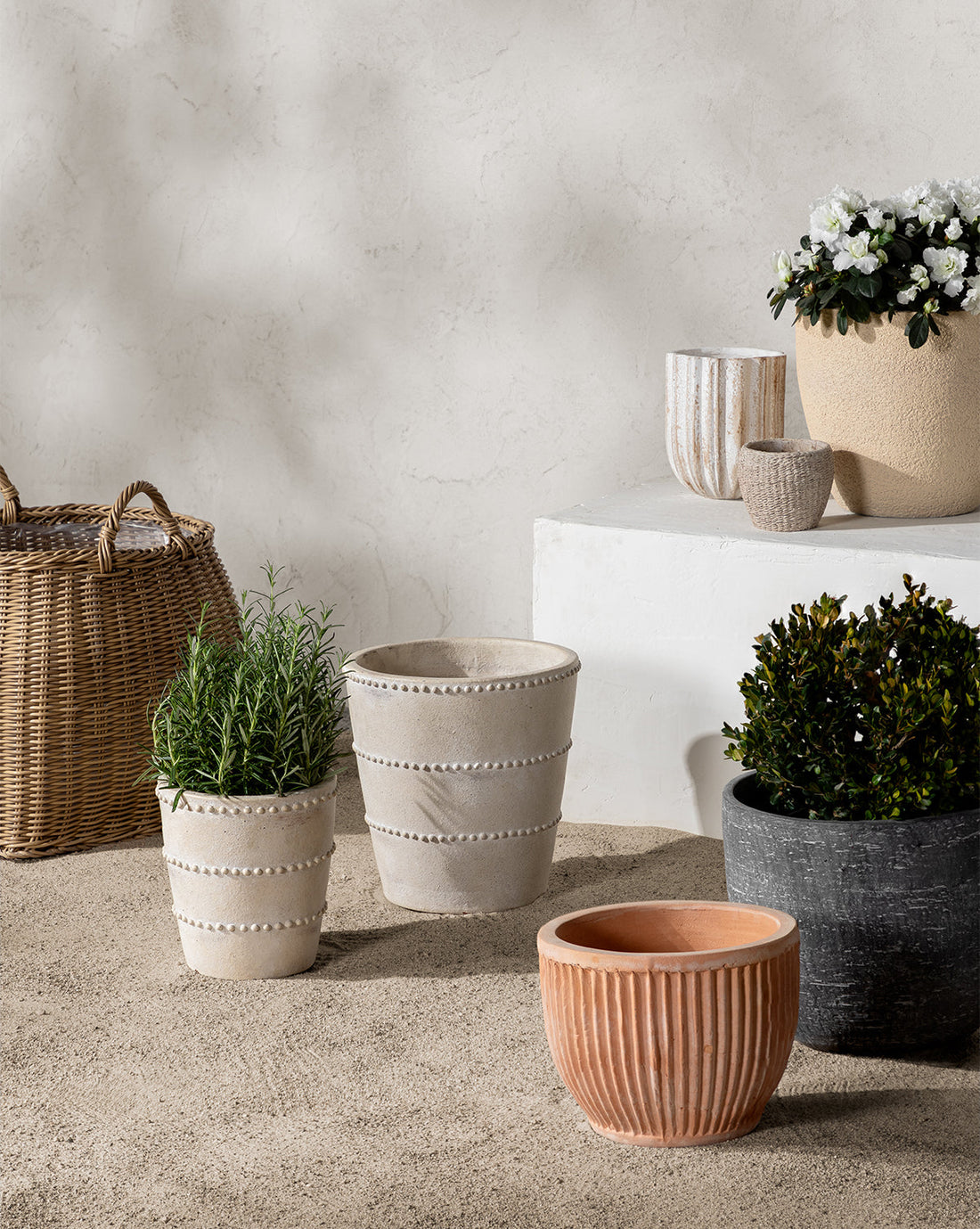 Halston Cement Planter