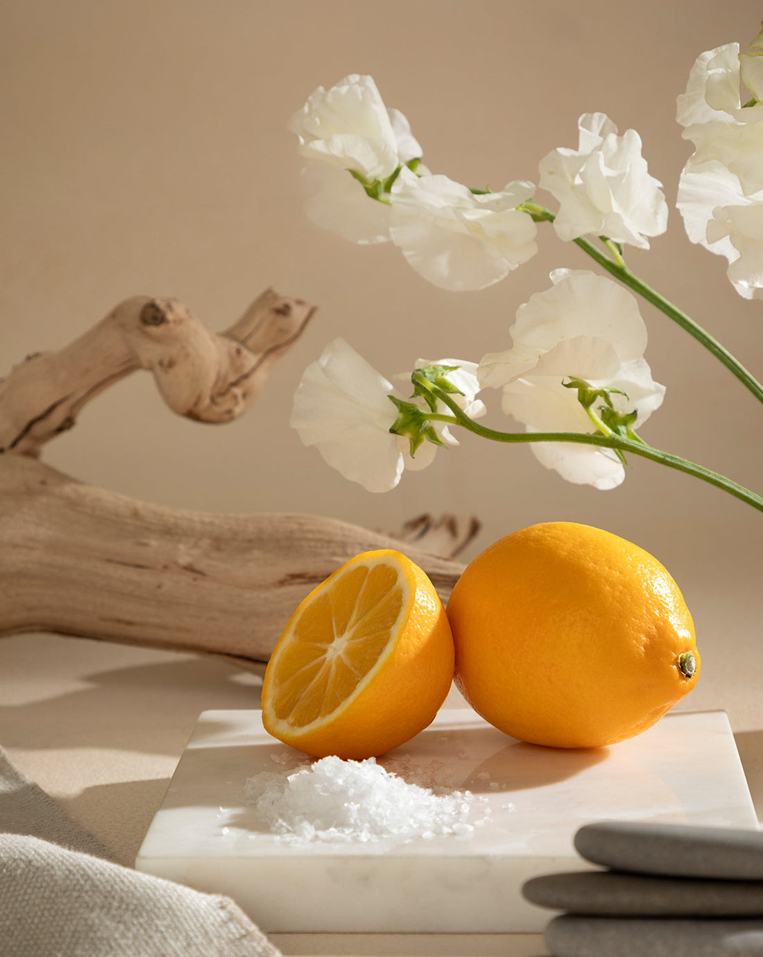 Pura x Studio McGee Seaside Terrace Home Fragrance Refill